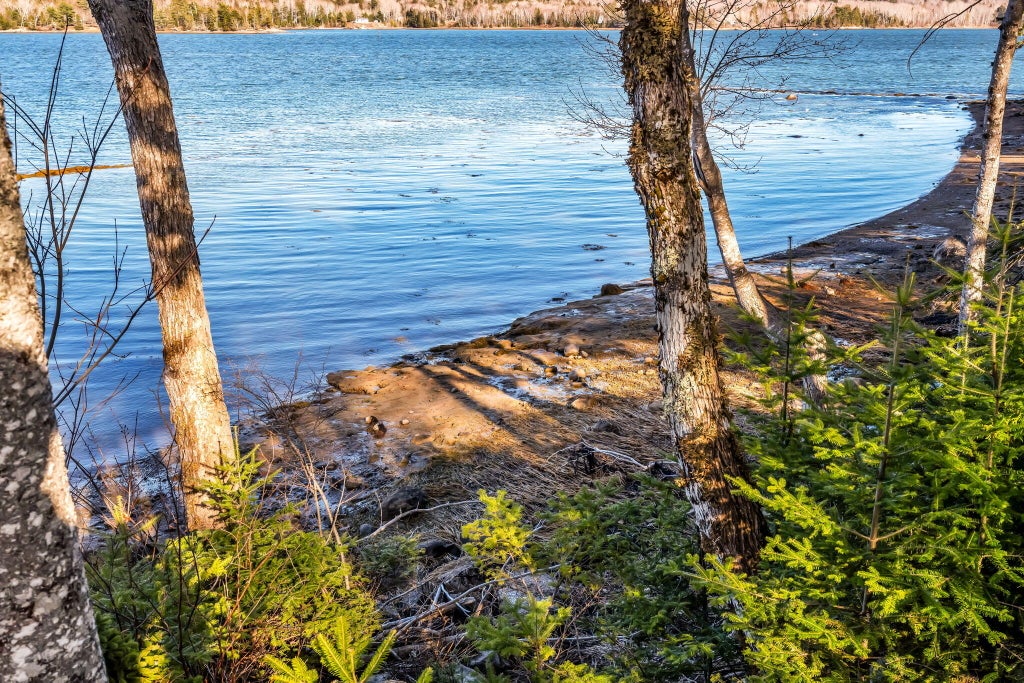 Photo of 7 White Tail Lane, Gouldsboro, ME 04607 (MLS # 1659085)