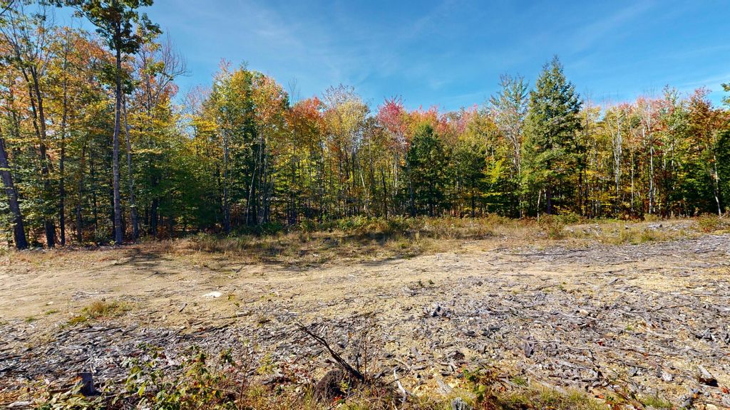 Photo of Lot 21B Station Road, Hebron, ME 04238 (MLS # 1655880)