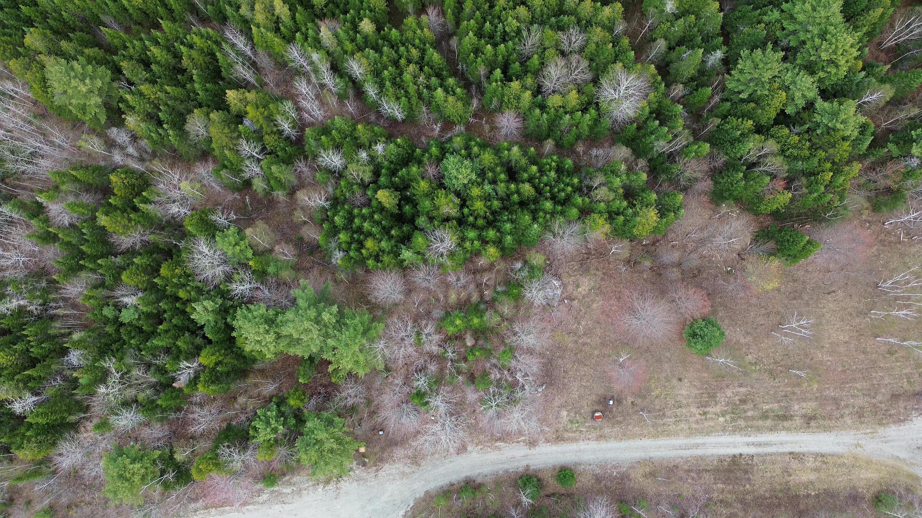 Lot 19 Bailey Mountain Road