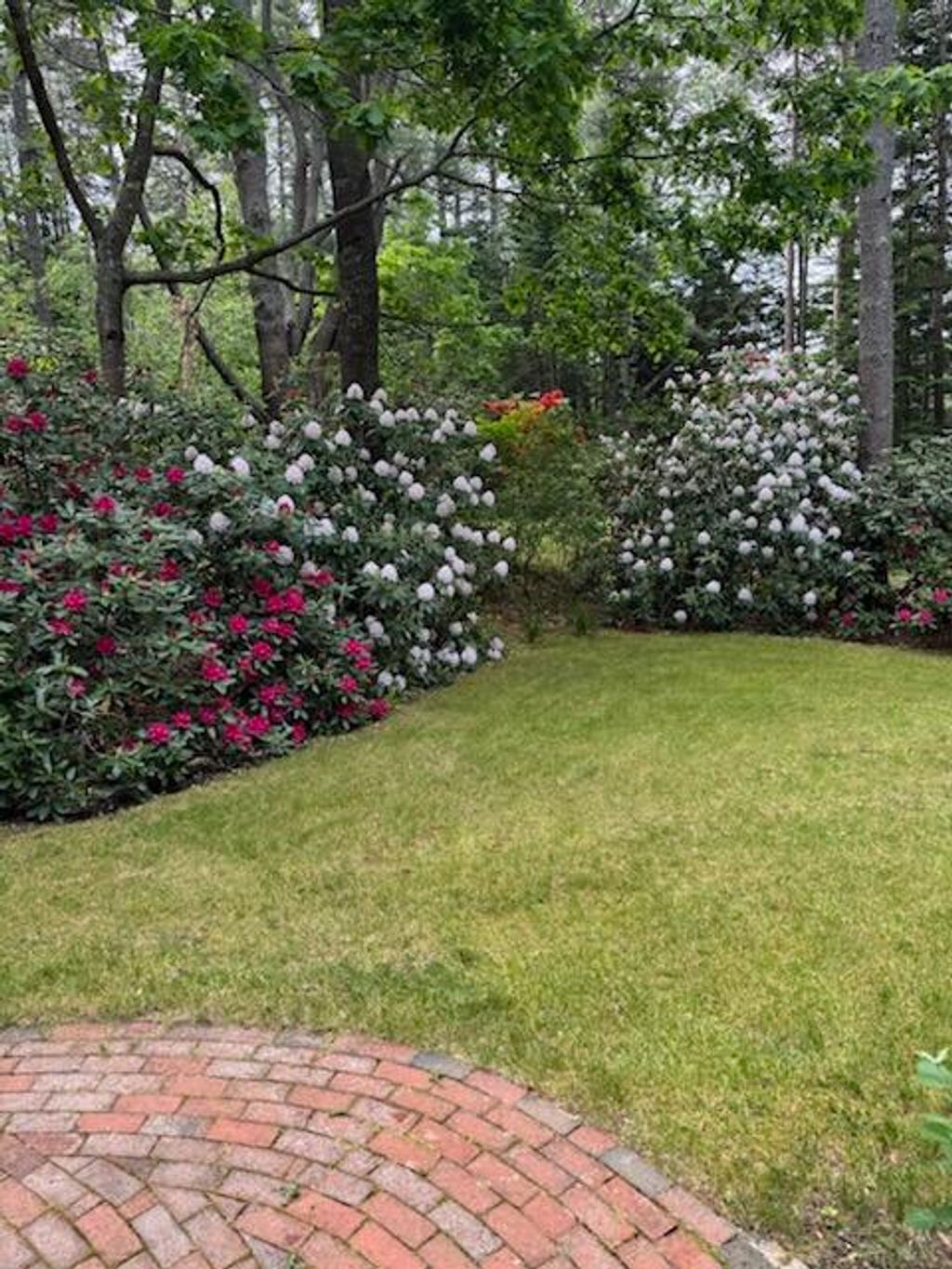 Photo of 42 Indian Point Terrace, Harpswell, ME 04079 (MLS # 1659730)