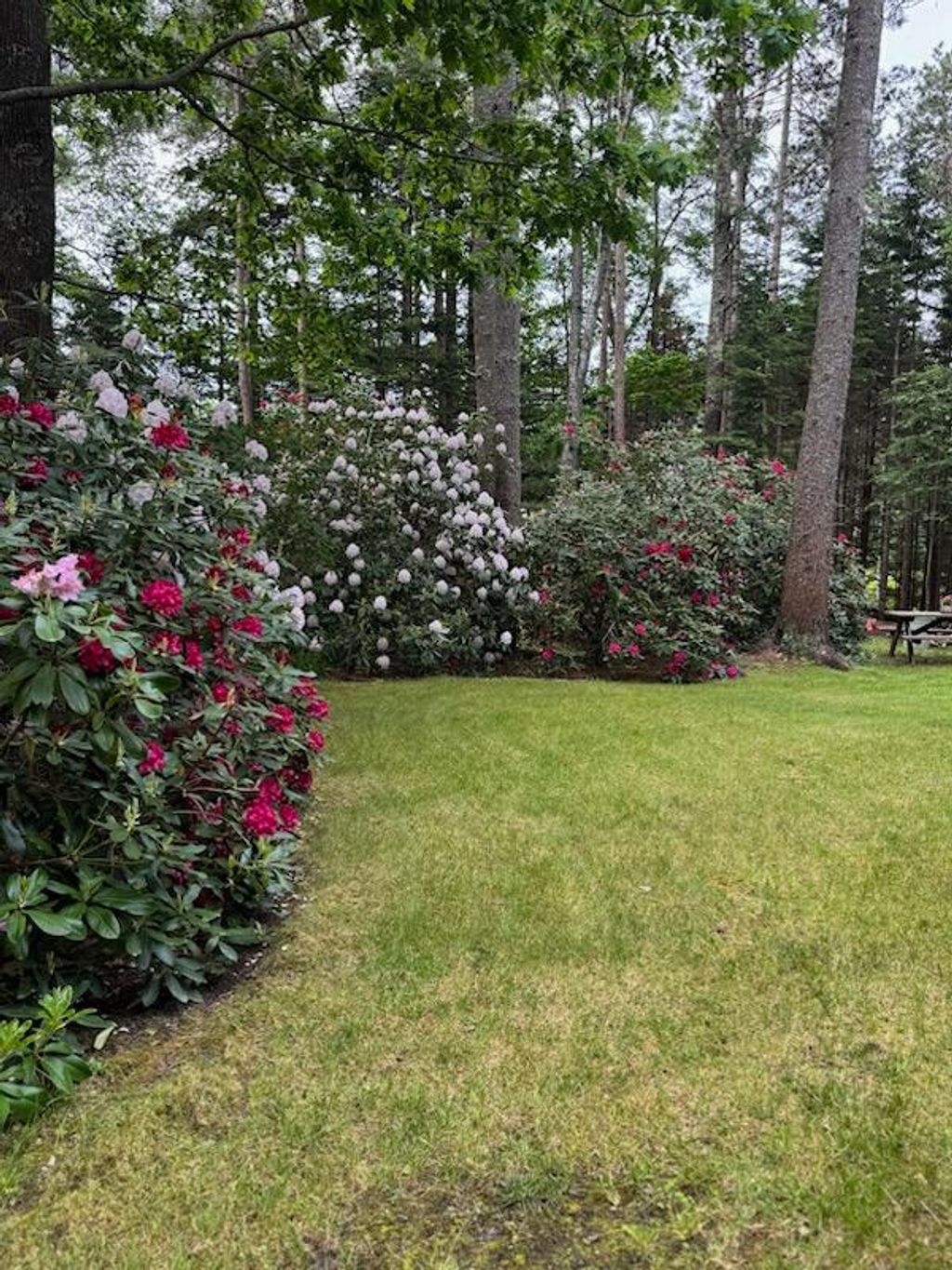 Photo of 42 Indian Point Terrace, Harpswell, ME 04079 (MLS # 1659730)