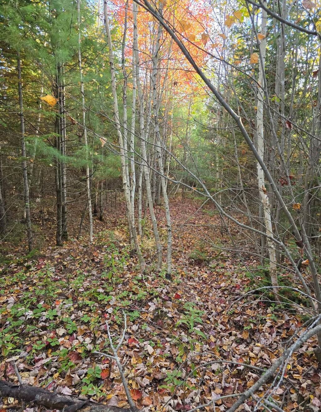 Photo of 46-S-5-G G.H Lord Road, Detroit, ME 04929 (MLS # 1645893)