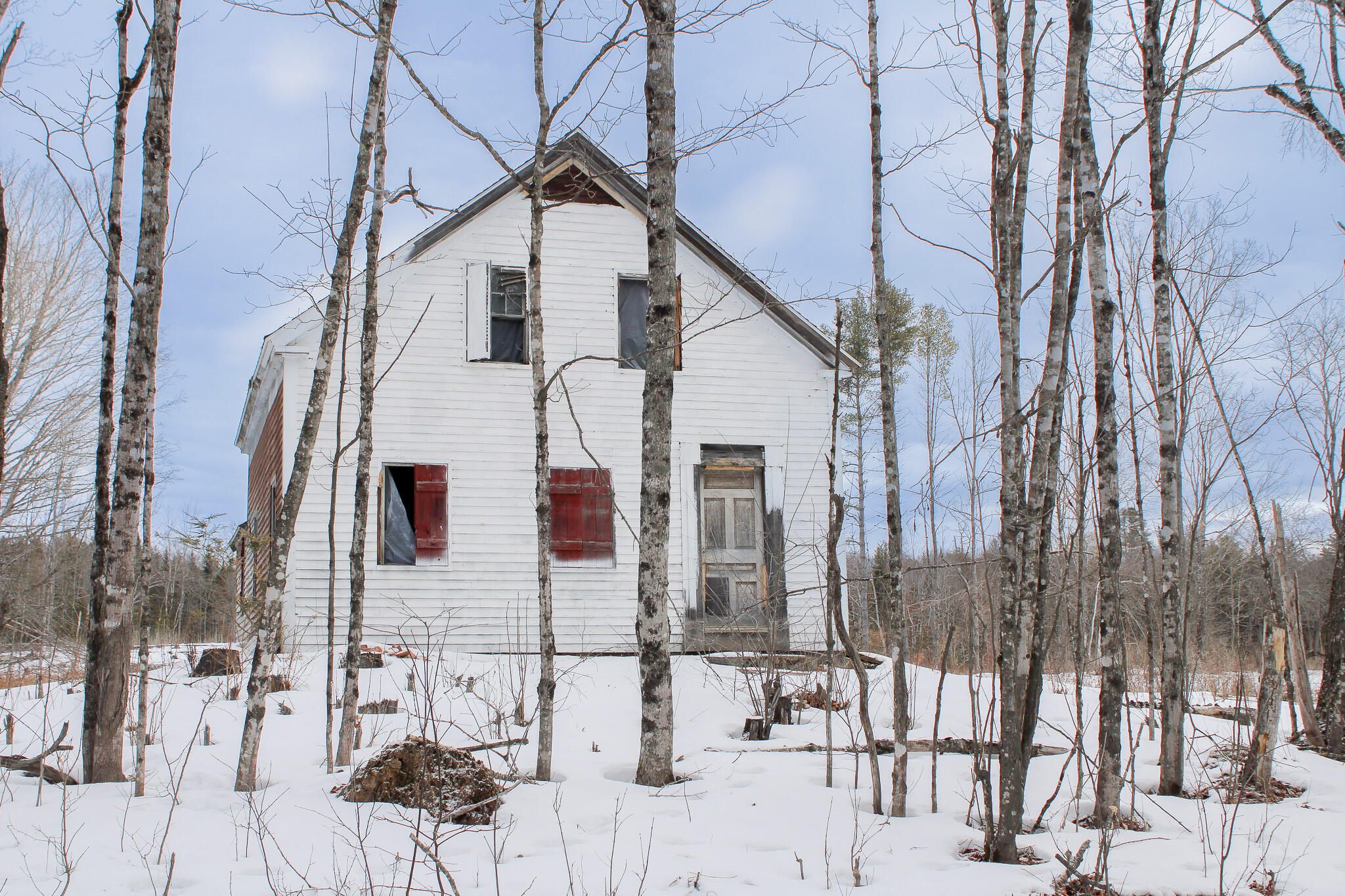 Listing image 7