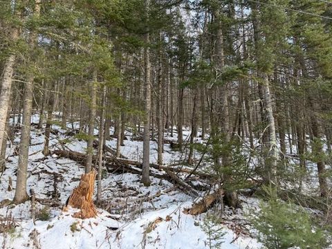 Photo of 90 N Center Road, Monroe, ME 04951 (MLS # 1646703)