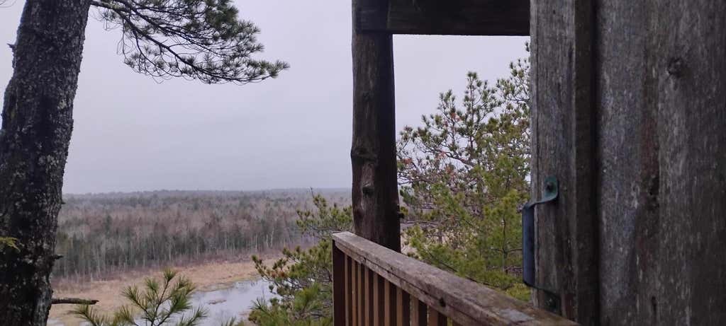 Photo of 162 Ayer's Junction Road, Pembroke, ME 04666 (MLS # 1661024)