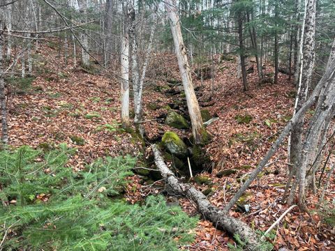 Photo of Lot 1 & 2 Thistle Street, Upton, ME 04261 (MLS # 1643013)