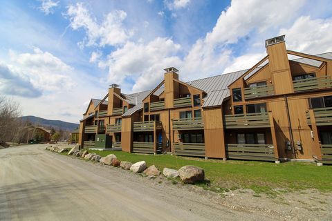 Photo of 382 Birchwood Lane #382, Carrabassett Valley, ME 04947 (MLS # 1661289)