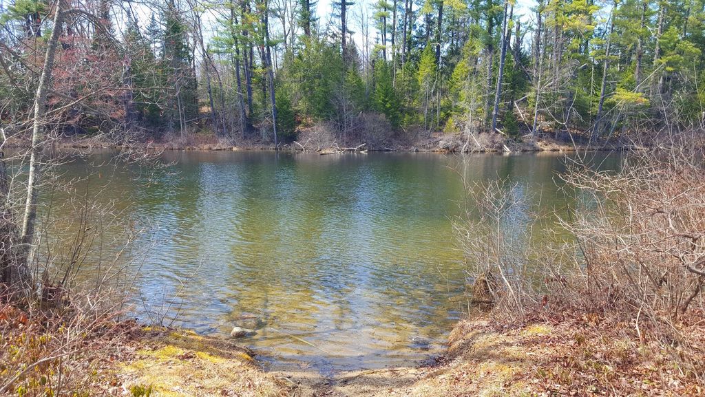 Photo of 594 River Road Road, Windham, ME 04062 (MLS # 1651808)