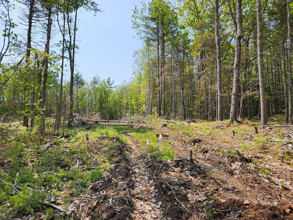 Photo of Lot 2 Woodland Drive, Kennebunkport, ME 04046 (MLS # 1663078)