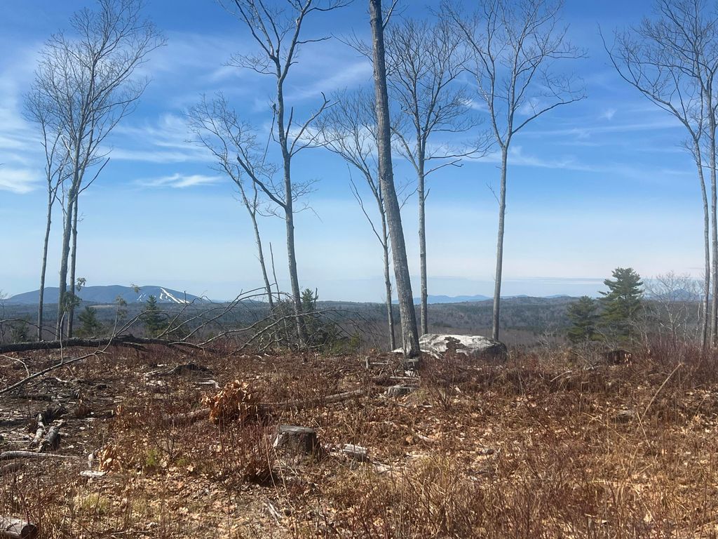 Photo of TBD Deer Hill Road, Harrison, ME 04040 (MLS # 1657572)