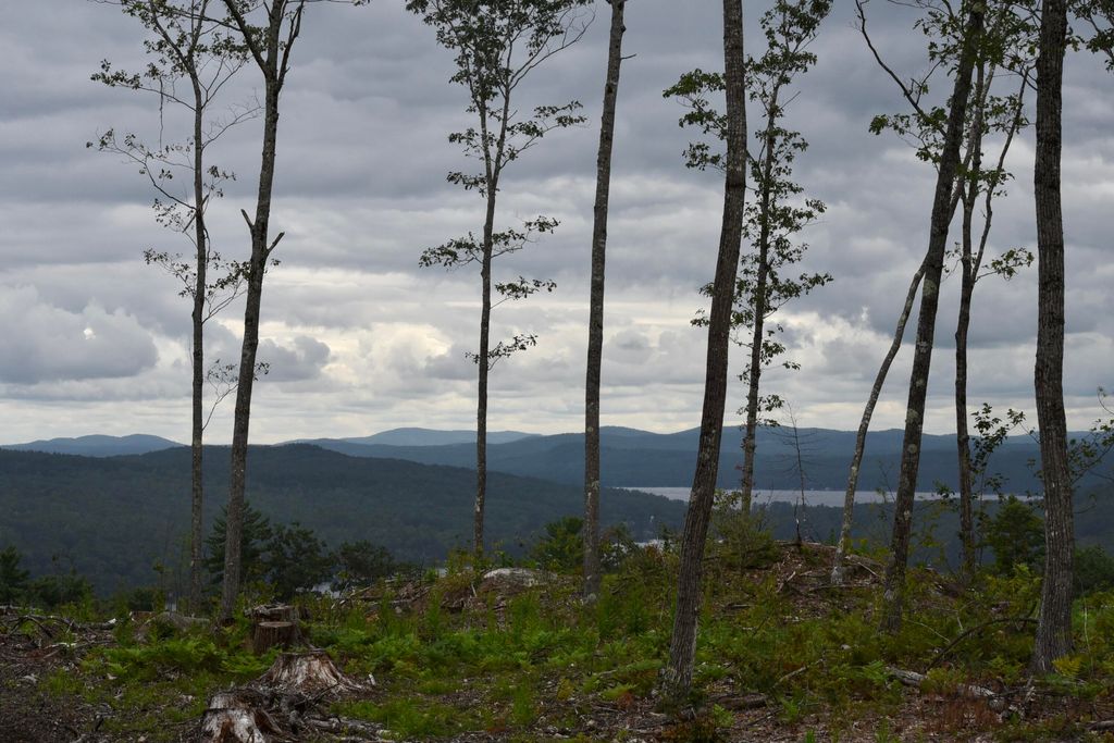 Photo of TBD Deer Hill Road, Harrison, ME 04040 (MLS # 1657572)
