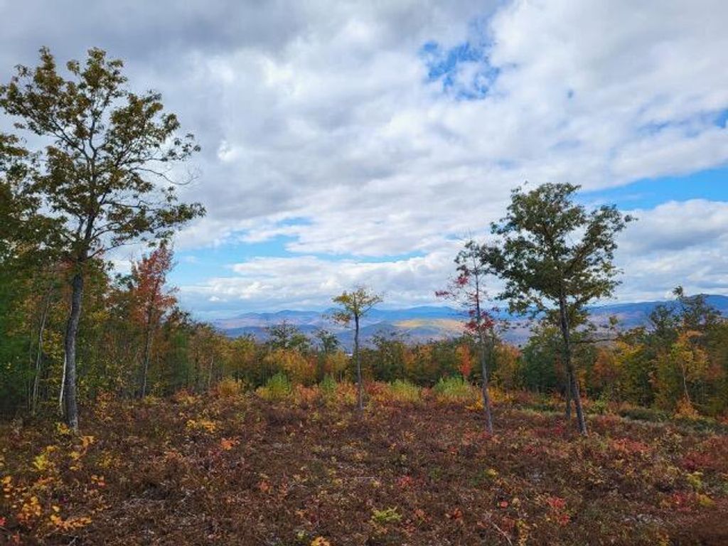 Photo of 105 Mine Road #Lot 8, Stoneham, ME 04231 (MLS # 1654911)