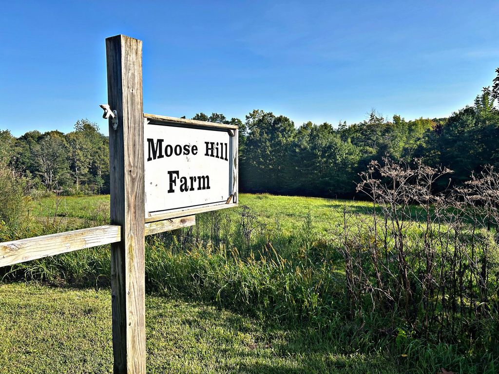 Photo of 159 Moose Hill Road, Fayette, ME 04349 (MLS # 1649288)