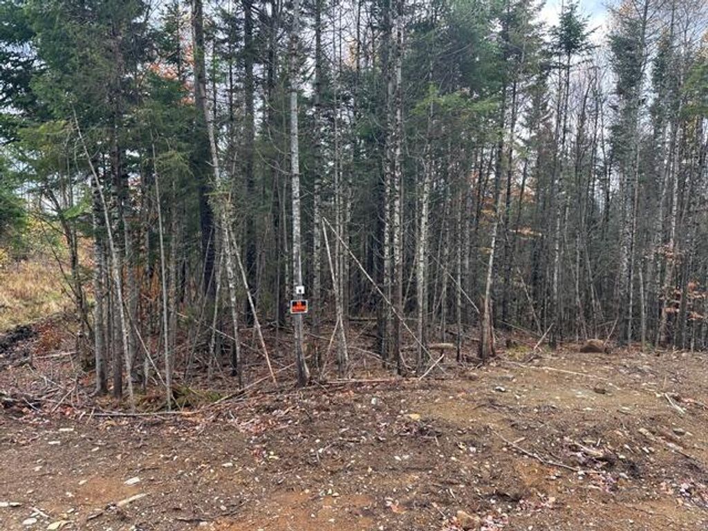 Photo of Lot ''N'' S Whitetail Way, Greenville, ME 04441 (MLS # 1645854)
