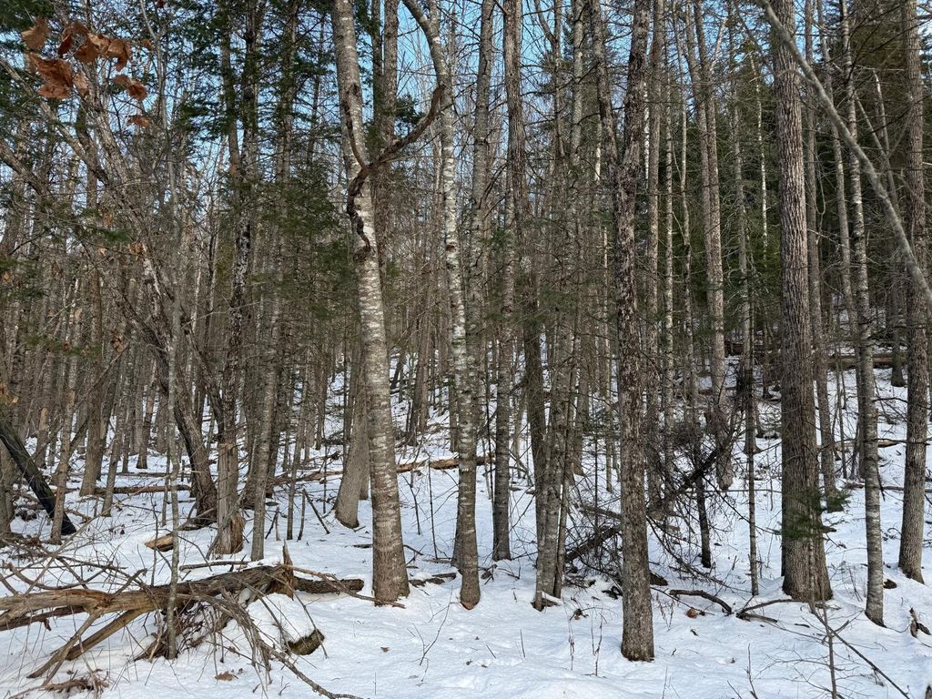 Photo of Map4Lot11 East Bucksport Road, Orrington, ME 04474 (MLS # 1649156)