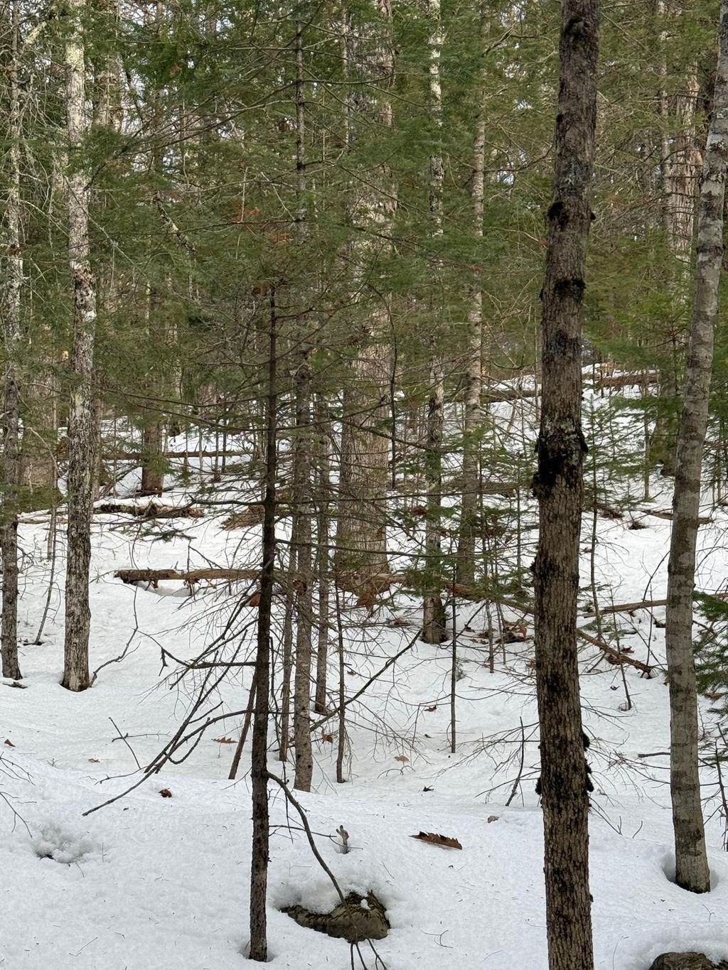 Photo of Map4Lot11 East Bucksport Road, Orrington, ME 04474 (MLS # 1649156)