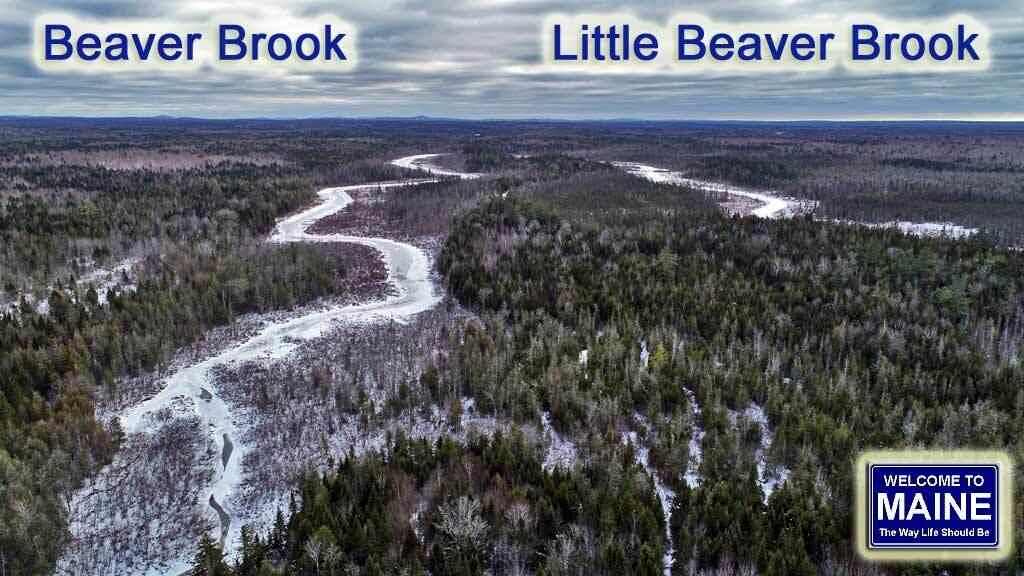 Photo of Lot 17 Fire Road, Linneus, ME 04730 (MLS # 1648838)