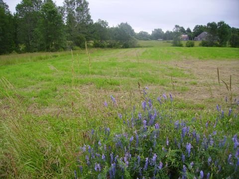 Featured picture for the property 1565032