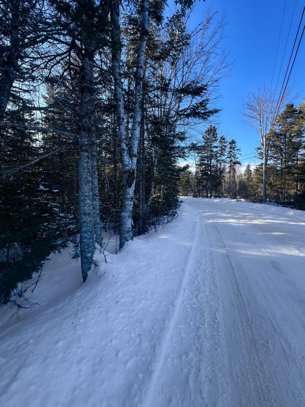 Photo of TBD Duck Cove Road, Roque Bluffs, ME 04654 (MLS # 1651989)