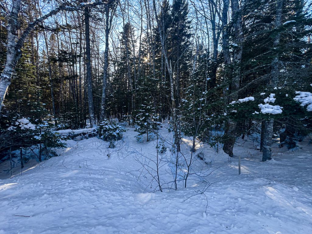Photo of TBD Duck Cove Road, Roque Bluffs, ME 04654 (MLS # 1651989)