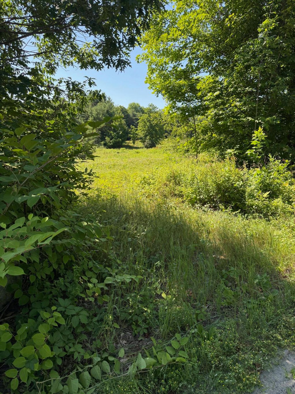 Photo of 392 Marston Road, Gardiner, ME 04345 (MLS # 1656002)