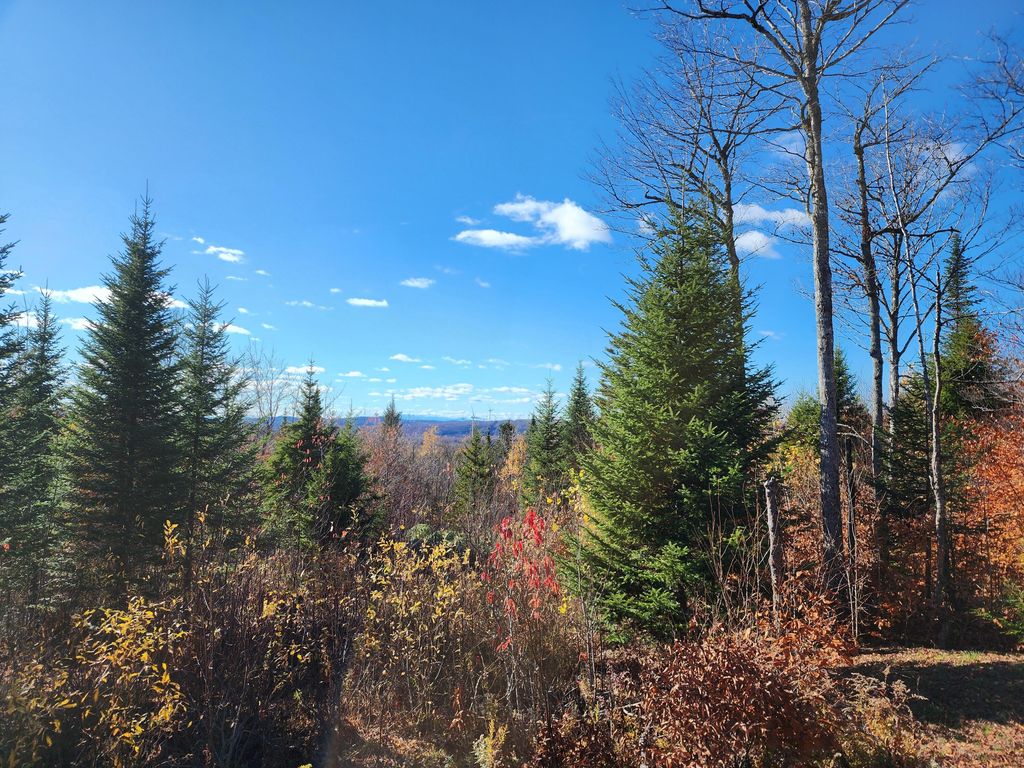 Photo of 0 Bates Ridge Road, Linneus, ME 04730 (MLS # 1642120)