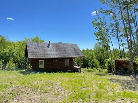 Photo of 000 James Jipson Road, Lowell, ME 04493 (MLS # 1661875)
