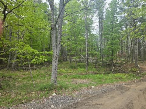 Photo of 30 Marshall Valley Road, Windham, ME 04062 (MLS # 1623139)