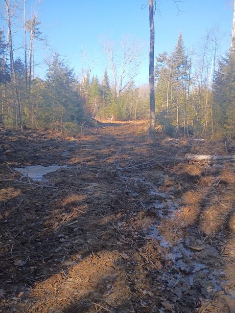 Photo of 848 Old Stage Road, Woolwich, ME 04579 (MLS # 1647046)