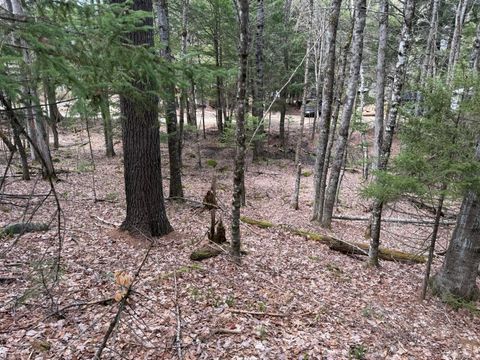 Photo of 3 Webb River Acres, Carthage, ME 04224 (MLS # 1659427)