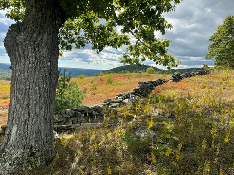 Photo of 0 Heart Oak Lane, Union, ME 04862 (MLS # 1657856)