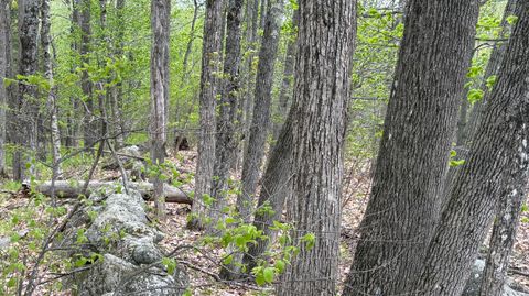 Photo of Lot #042 Tower Road, Vienna, ME 04360 (MLS # 1662598)