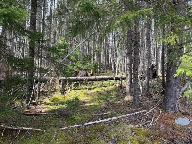 Photo of Lot 6 Holmes Bay Farms Road, Whiting, ME 04691 (MLS # 1662723)