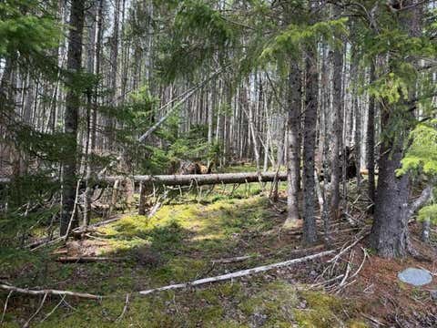 Photo of Lot 6 Holmes Bay Farms Road, Whiting, ME 04691 (MLS # 1662723)
