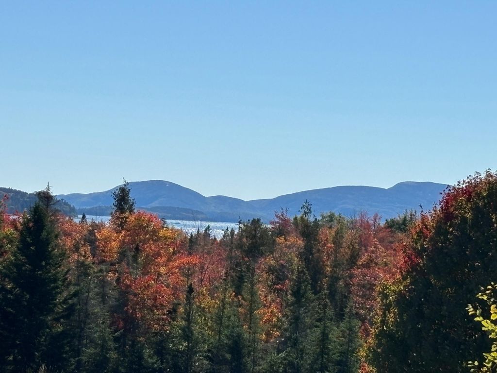 Photo of 20 Rt 1, Gouldsboro, ME 04680 (MLS # 1639604)