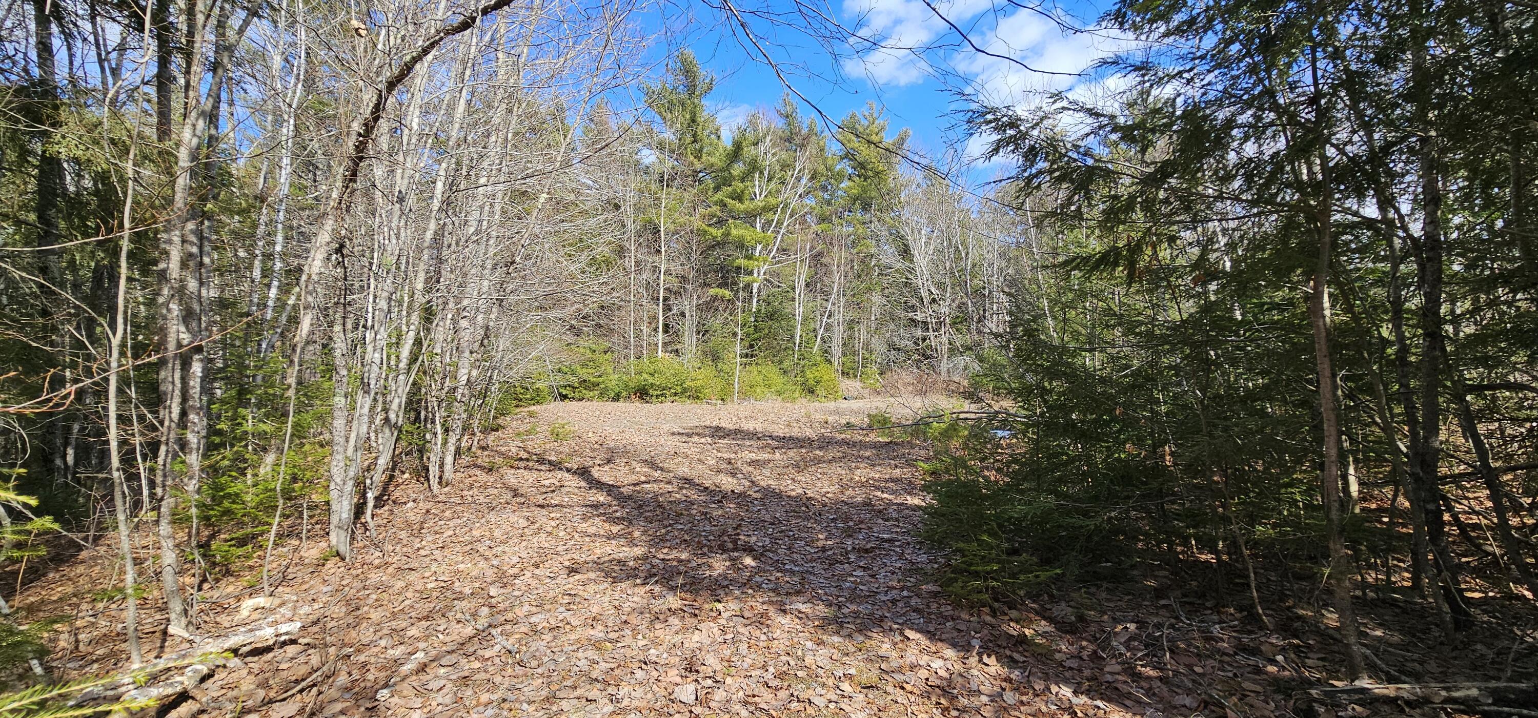 31, 31-1 Weymouth Road