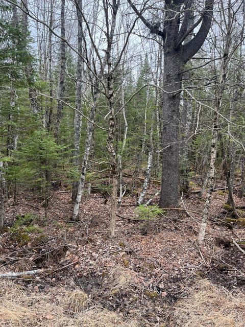 Photo of M6L10 Boundary Road, Orient, ME 04471 (MLS # 1661474)