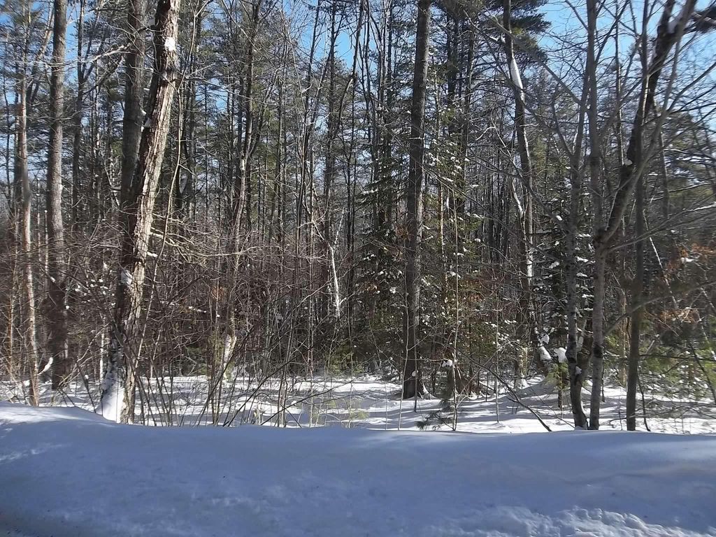 Photo of p/o L17-2 Hemlock Park Drive, Jefferson, ME 04348 (MLS # 1650702)