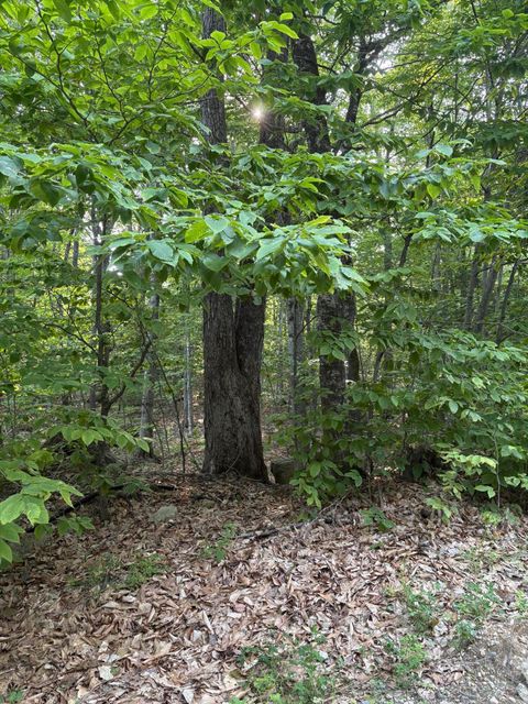 Photo of 0 Pleasant View Drive, Naples, ME 04055 (MLS # 1633122)