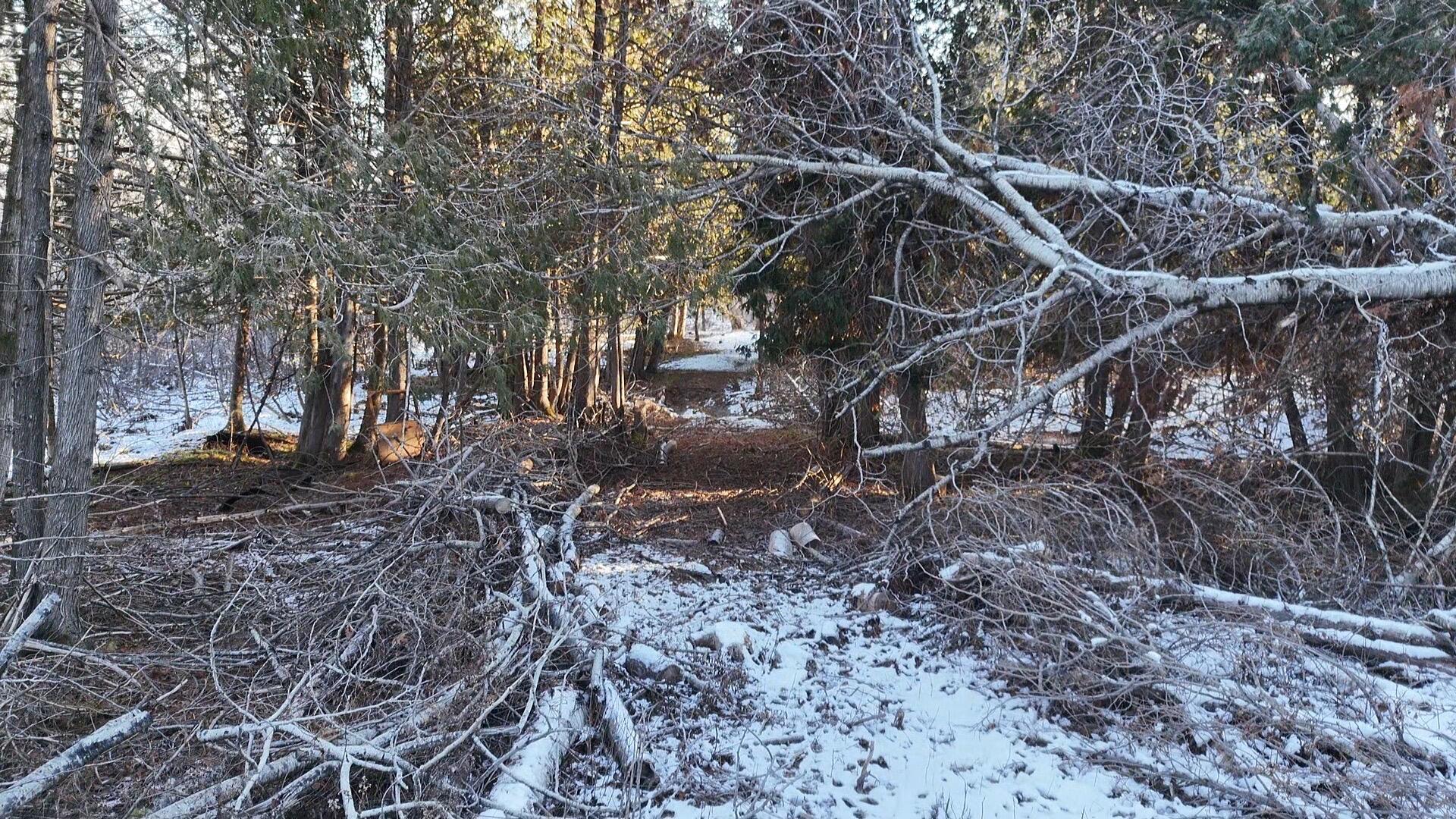 Princeton, Maine 04668, United States, ,Land,Pending,27322