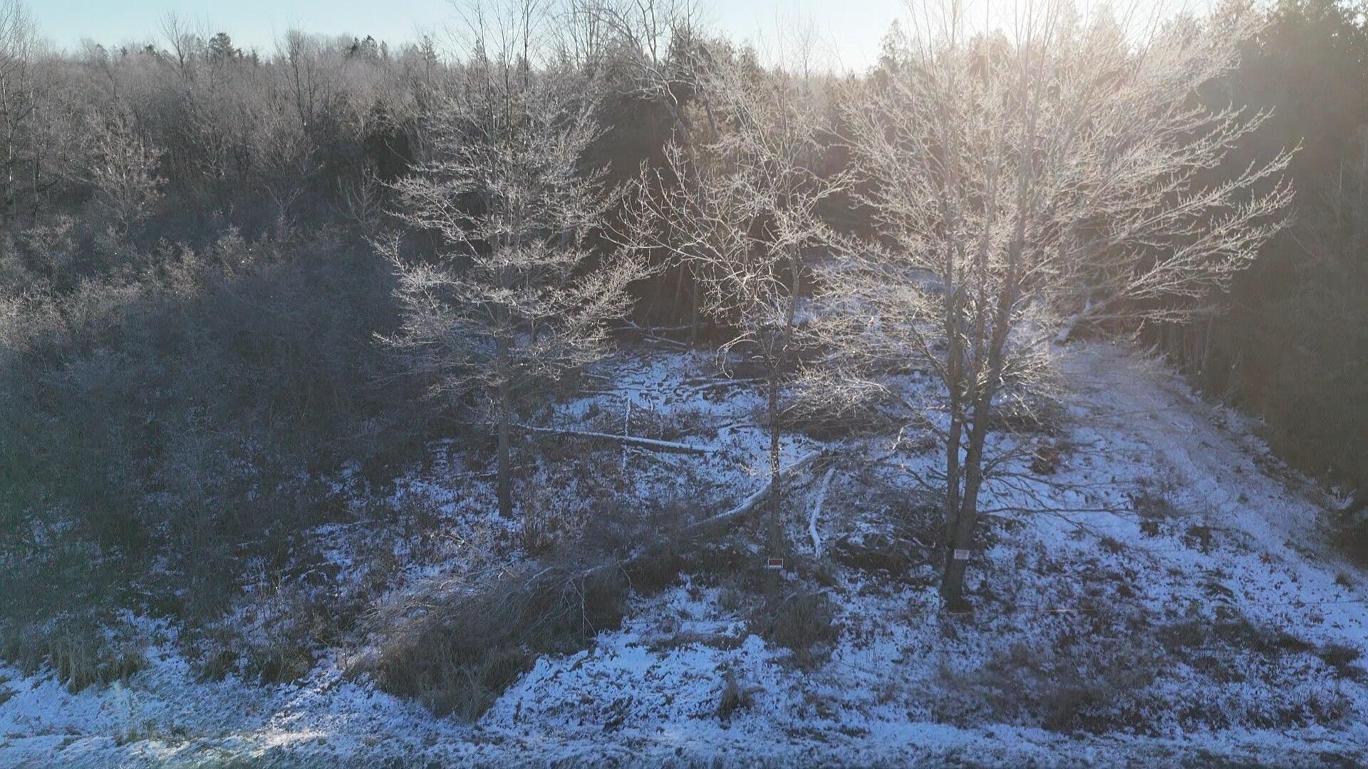 Princeton, Maine 04668, United States, ,Land,Pending,27322