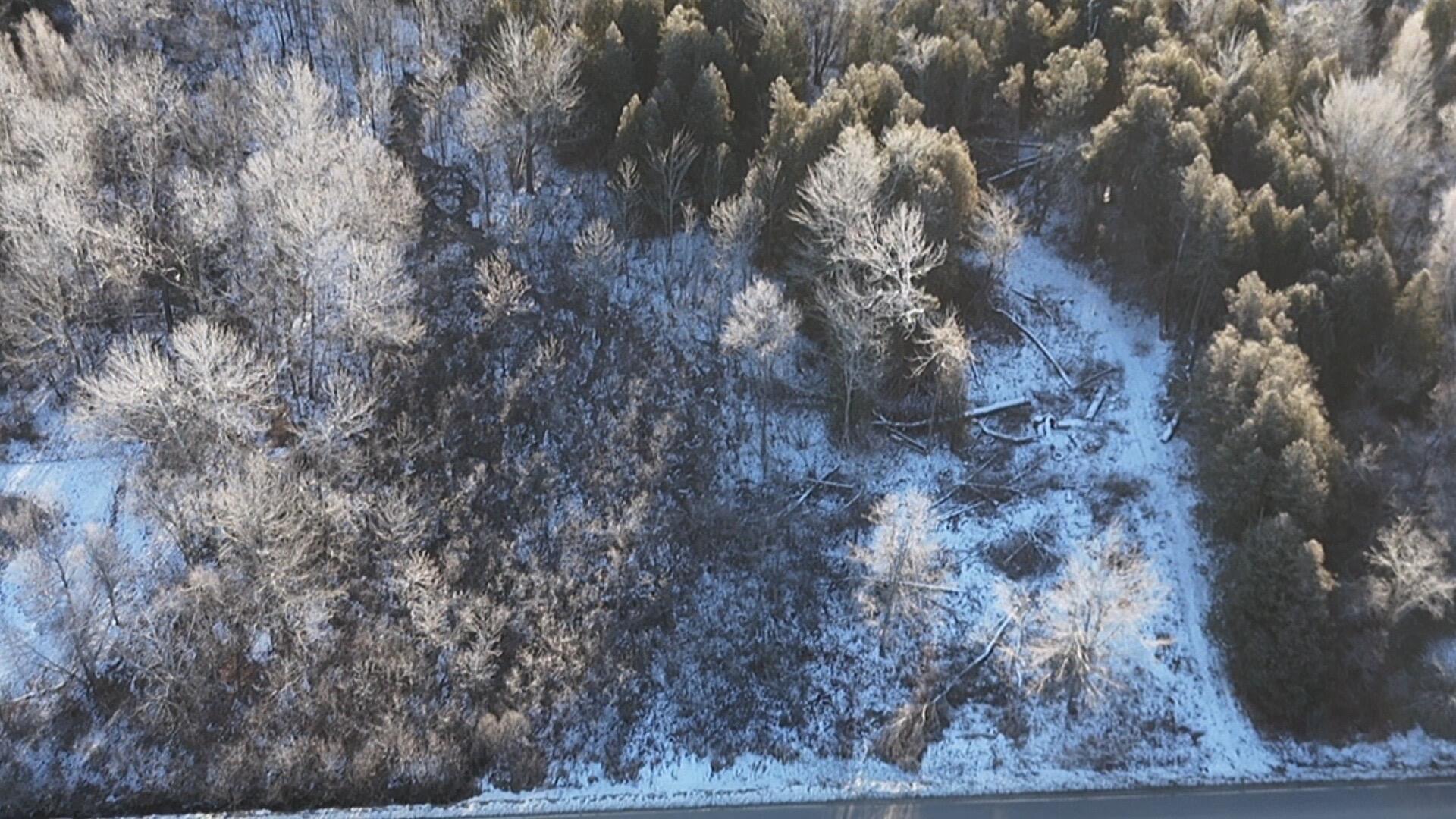 Princeton, Maine 04668, United States, ,Land,Pending,27322