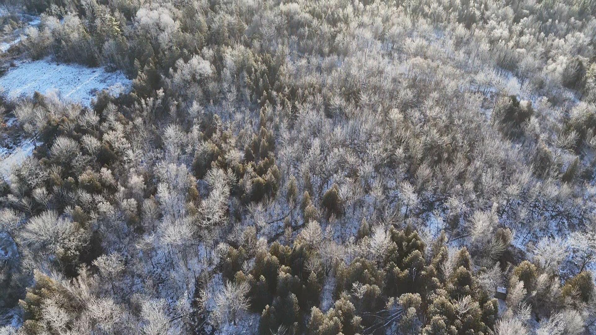 Princeton, Maine 04668, United States, ,Land,Pending,27322