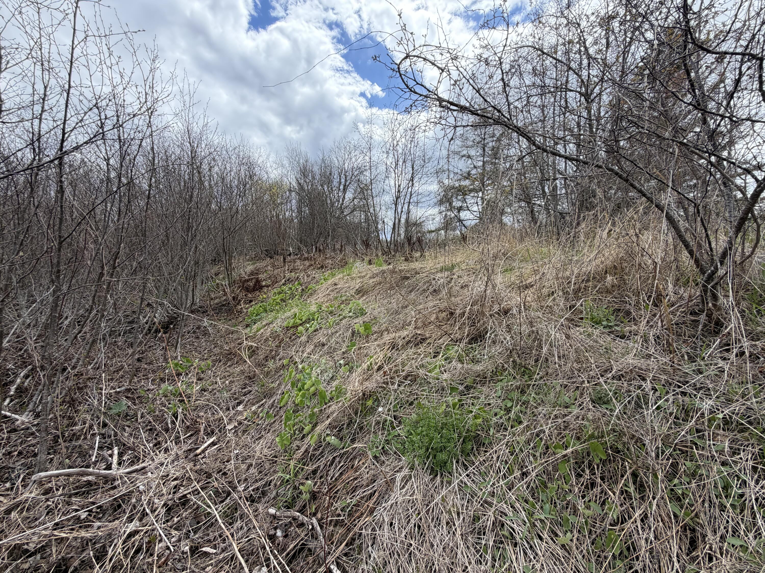 Lot 7 B Road