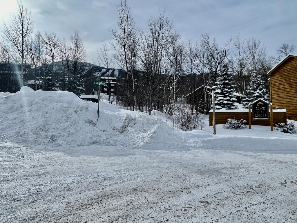 Photo of 5010 Black Bear Run #5010, Carrabassett Valley, ME 04947 (MLS # 1650456)
