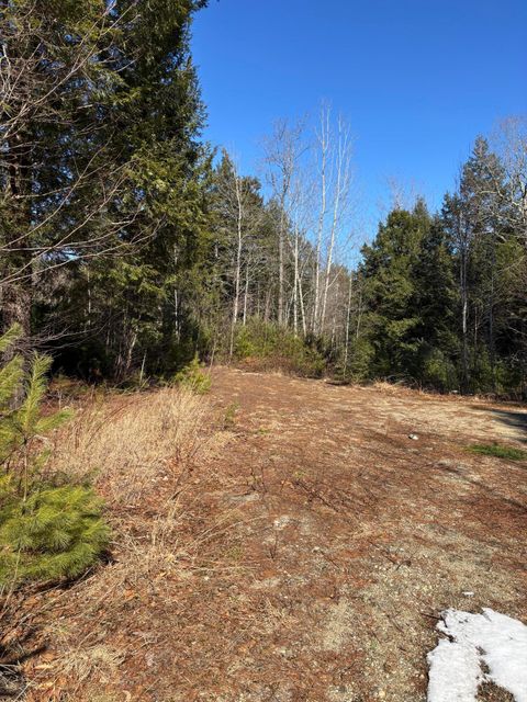Photo of 5 Bog Brook Loop, West Paris, ME 04289 (MLS # 1657424)