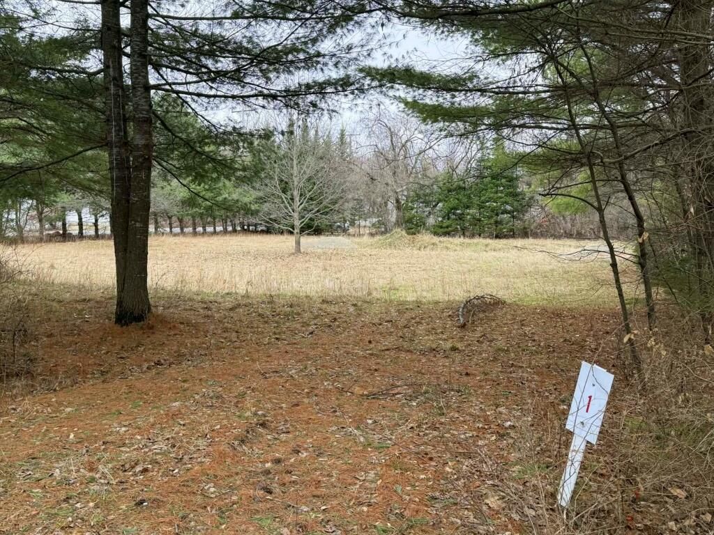 Photo of Lot 11-1 Kashke Drive DR, Farmington, ME 04938 (MLS # 1658503)