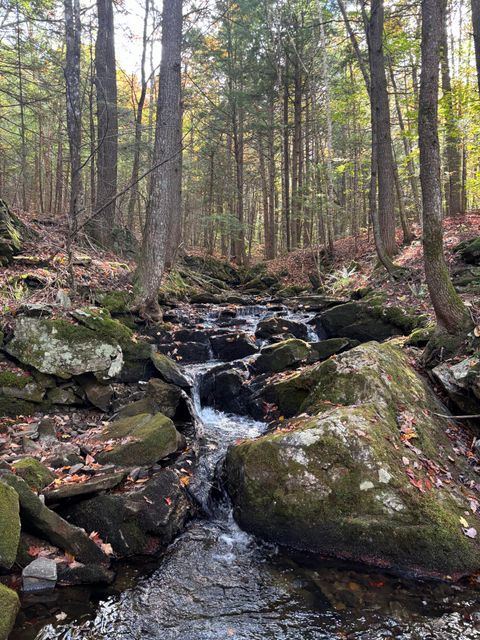 Photo of Map R05 Lot 18 Hayes Hill Road, Greenwood, ME 04255 (MLS # 1631916)