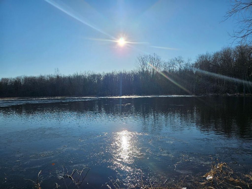 Photo of 0 Cedar Lane, Plymouth, ME 04969 (MLS # 1655079)