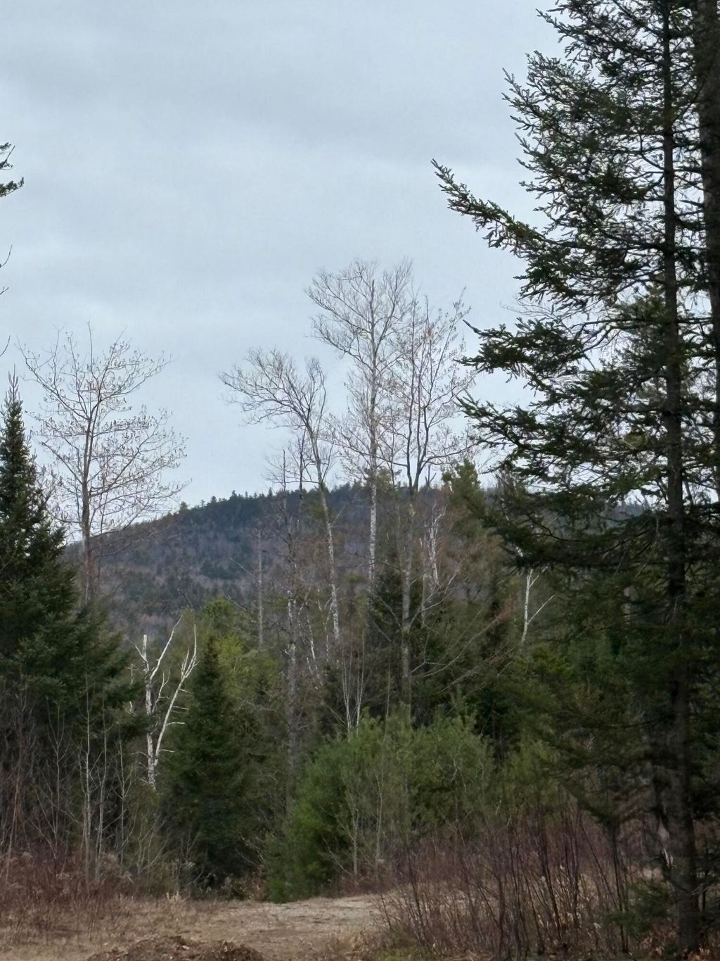 Photo of Lot 1 Fleming Road, Bethel, ME 04217 (MLS # 1659616)